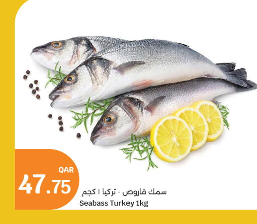 available at City Hypermarket in Qatar - Al-Shahaniya