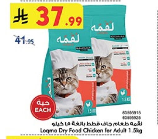 available at بن داود in مملكة العربية السعودية, السعودية, سعودية - المدينة المنورة