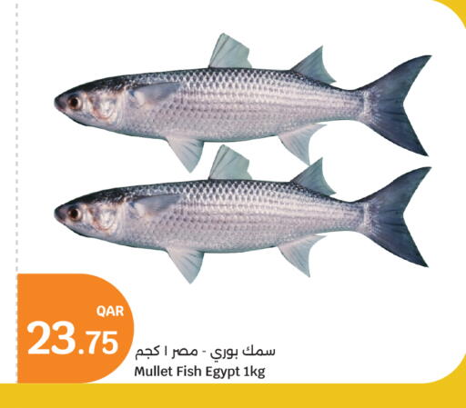 available at City Hypermarket in Qatar - Al-Shahaniya