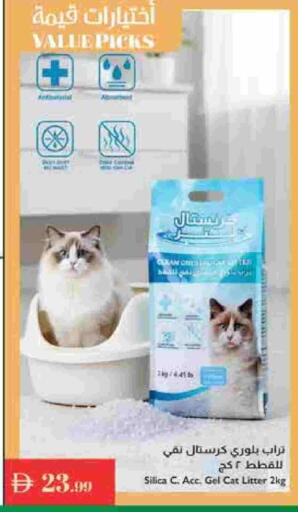 available at إسطنبول سوبرماركت in الإمارات العربية المتحدة , الامارات - دبي