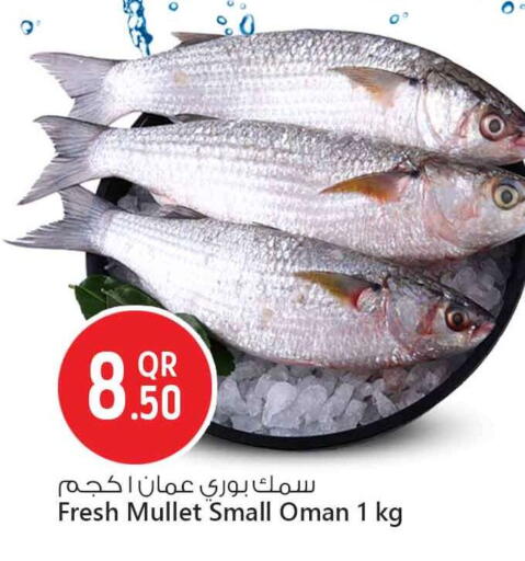 available at Safari Hypermarket in Qatar - Al-Shahaniya