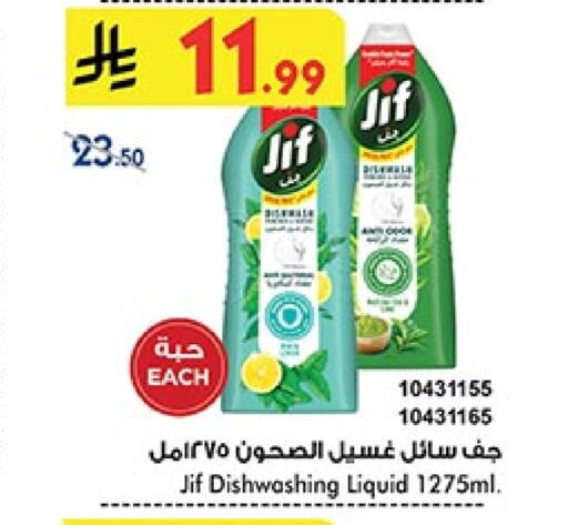 جف available at بن داود in مملكة العربية السعودية, السعودية, سعودية - المدينة المنورة