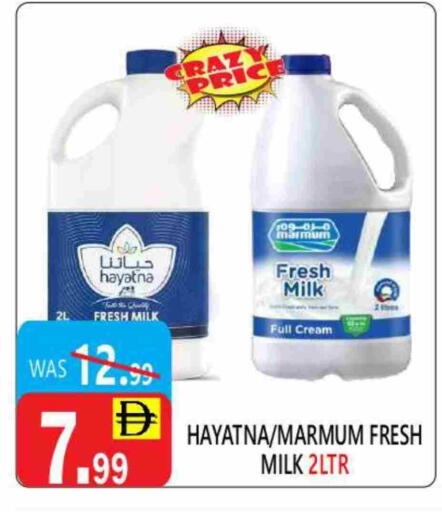 Fresh Milk available at United Hypermarket in UAE - Dubai