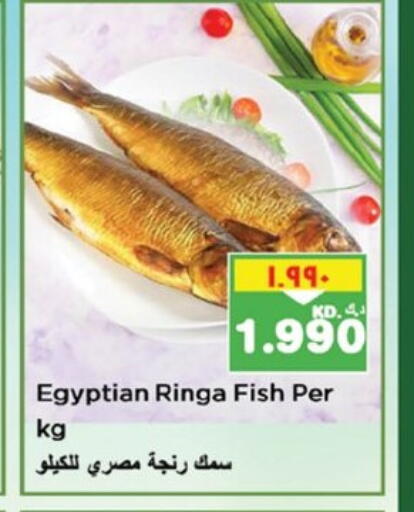 available at نستو هايبر ماركت in الكويت