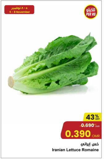 Lettuce from Iran available at مركز سلطان in عُمان - مسقط‎
