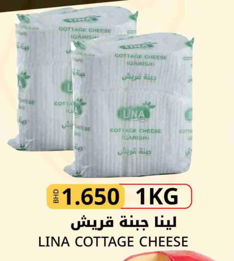 جبنة القريش available at مركز دي تو دي للتخفيضات in البحرين