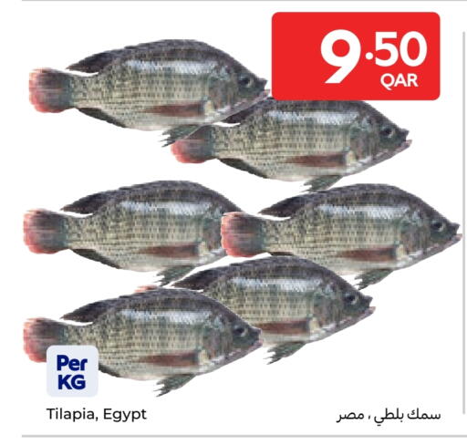 available at Carrefour in Qatar - Al-Shahaniya