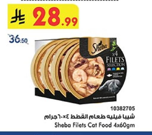 available at بن داود in مملكة العربية السعودية, السعودية, سعودية - المدينة المنورة