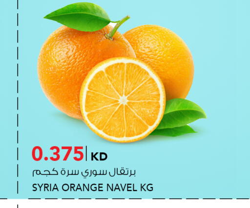 Orange from Syria available at  ALNASSER HYPERMARKET in Kuwait - Kuwait City