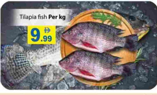 available at جلف هايبرماركت ذ.م.م in الإمارات العربية المتحدة , الامارات - رَأْس ٱلْخَيْمَة