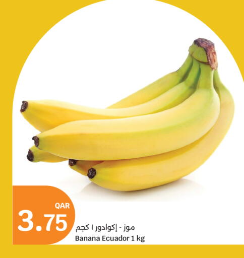 Banana from Ecuador available at سيتي هايبرماركت in قطر - الشمال