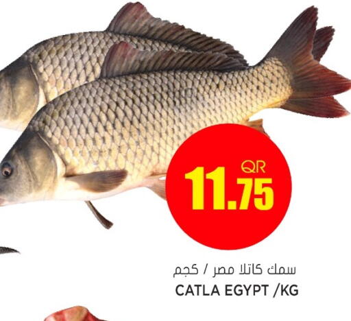 available at Grand Hypermarket in Qatar - Al-Shahaniya