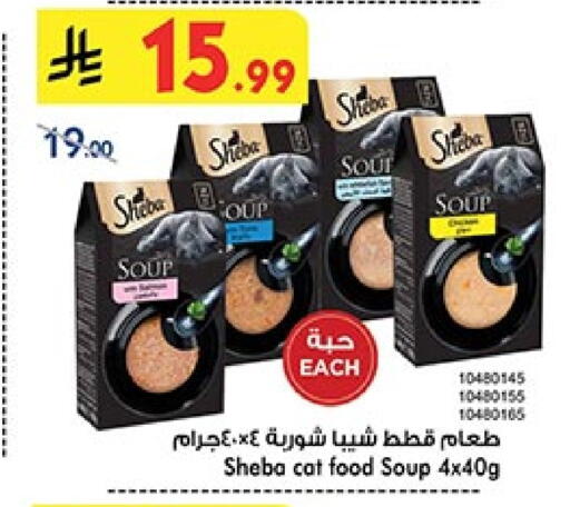 available at بن داود in مملكة العربية السعودية, السعودية, سعودية - المدينة المنورة