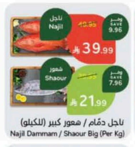 available at Hyper Panda in KSA, Saudi Arabia, Saudi - Al-Kharj
