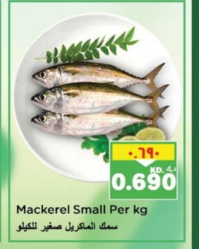 available at نستو هايبر ماركت in الكويت