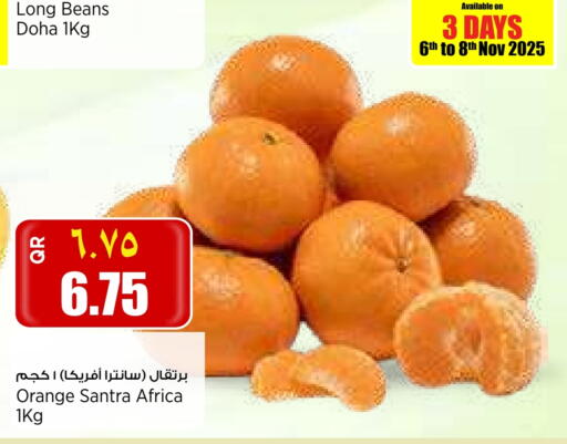 برتقال from Qatar India available at سوبر ماركت الهندي الجديد in قطر - الخور