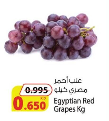 Grapes from Egypt available at Agricultural Food Products Co. in Kuwait - Kuwait City