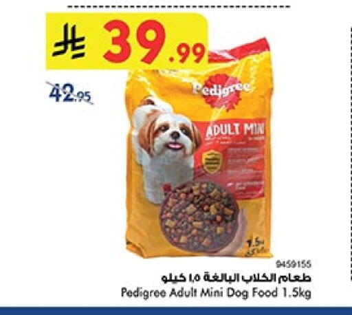 available at بن داود in مملكة العربية السعودية, السعودية, سعودية - المدينة المنورة