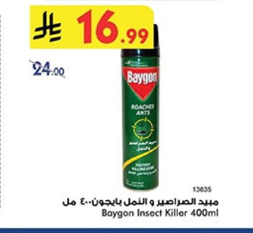 بيجون available at بن داود in مملكة العربية السعودية, السعودية, سعودية - خميس مشيط