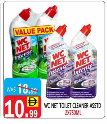 Toilet / Drain Cleaner available at United Hypermarket in UAE - Dubai