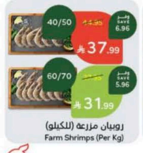 available at Hyper Panda in KSA, Saudi Arabia, Saudi - Al-Kharj