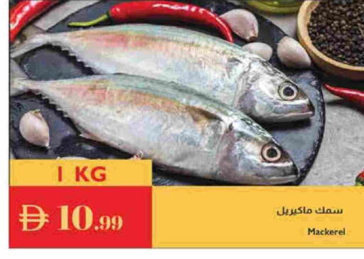 available at إسطنبول سوبرماركت in الإمارات العربية المتحدة , الامارات - رَأْس ٱلْخَيْمَة