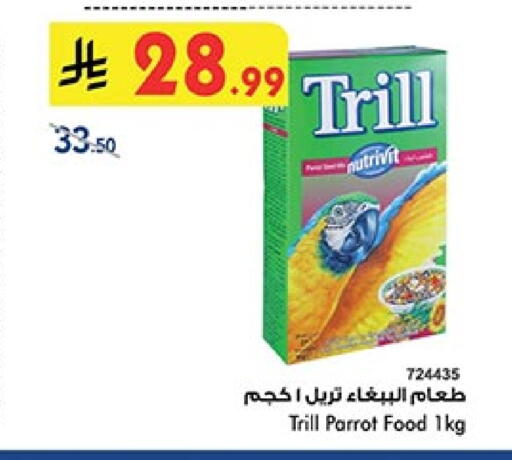 available at بن داود in مملكة العربية السعودية, السعودية, سعودية - المدينة المنورة