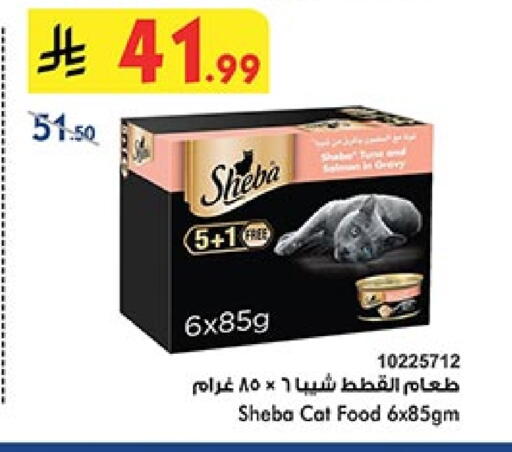 available at بن داود in مملكة العربية السعودية, السعودية, سعودية - المدينة المنورة