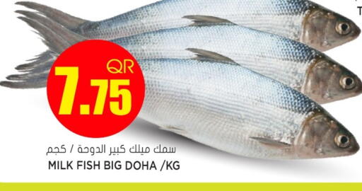 available at جراند هايبرماركت in قطر - الدوحة