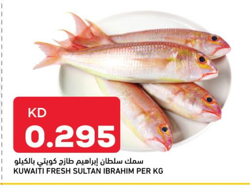 available at أونكوست in الكويت