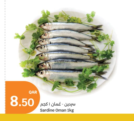 available at سيتي هايبرماركت in قطر - الشمال