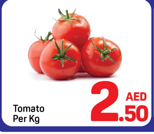 Tomato available at Day to Day Department Store in UAE - Dubai
