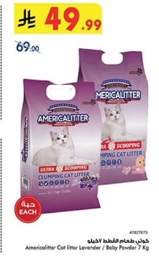 available at بن داود in مملكة العربية السعودية, السعودية, سعودية - المدينة المنورة