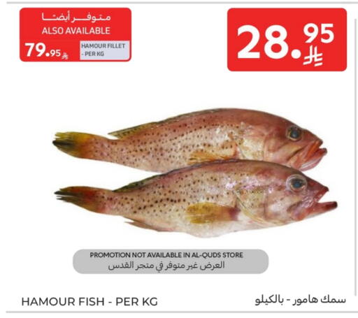 available at كارفور in مملكة العربية السعودية, السعودية, سعودية - الخبر‎