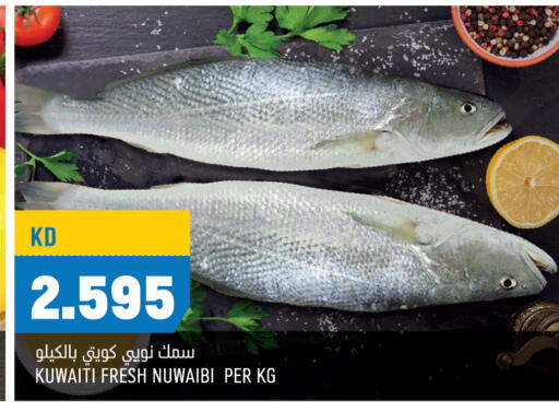 available at أونكوست in الكويت