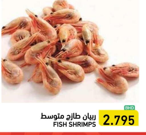 available at رامــز in البحرين