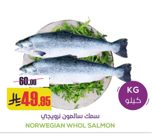 available at سبت in مملكة العربية السعودية, السعودية, سعودية - بريدة