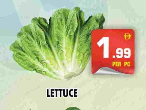 Lettuce available at NIGHT TO NIGHT DEPARTMENT STORE in UAE - Sharjah / Ajman