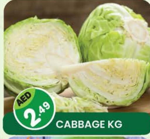 Cabbage available at Fresh Spike Supermarket in UAE - Dubai