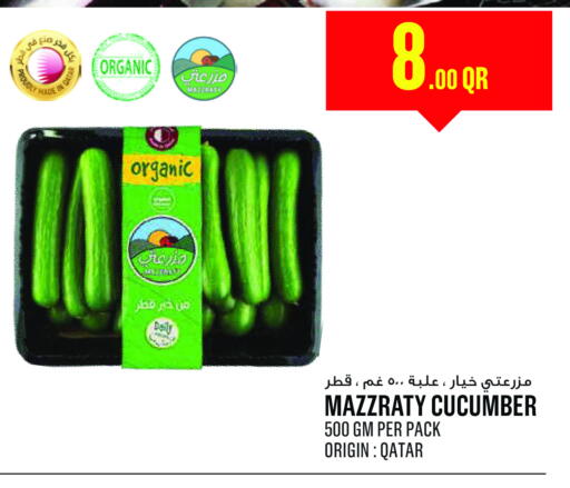 Cucumber available at مونوبريكس in قطر - الشمال