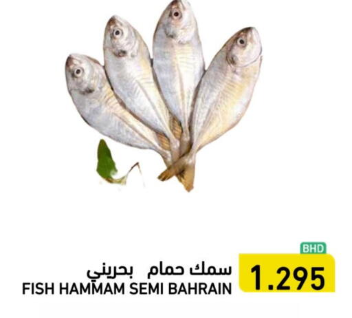 available at رامــز in البحرين