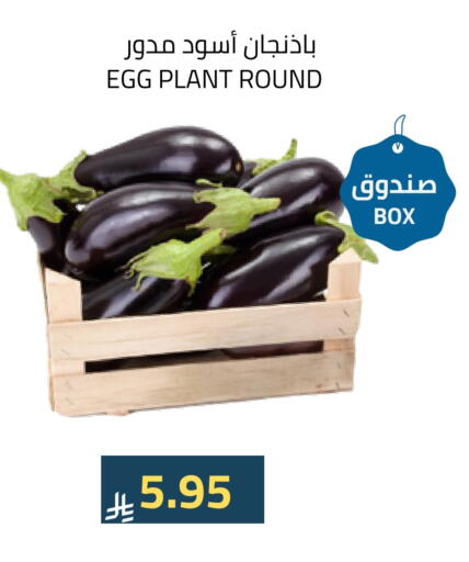 available at أسواق أسترا in مملكة العربية السعودية, السعودية, سعودية - تبوك