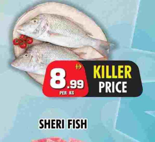 available at NIGHT TO NIGHT DEPARTMENT STORE in UAE - Sharjah / Ajman