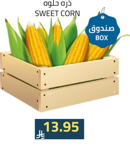 available at Astra Markets in KSA, Saudi Arabia, Saudi - Tabuk