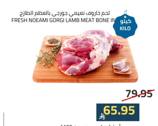 لحم الضأن / الغنم available at أسواق أسترا in مملكة العربية السعودية, السعودية, سعودية - تبوك