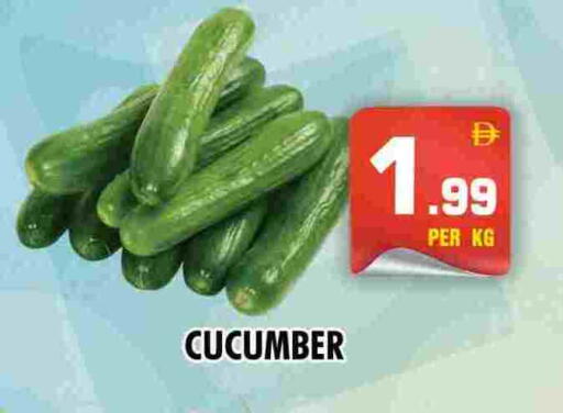 Cucumber available at NIGHT TO NIGHT DEPARTMENT STORE in UAE - Sharjah / Ajman