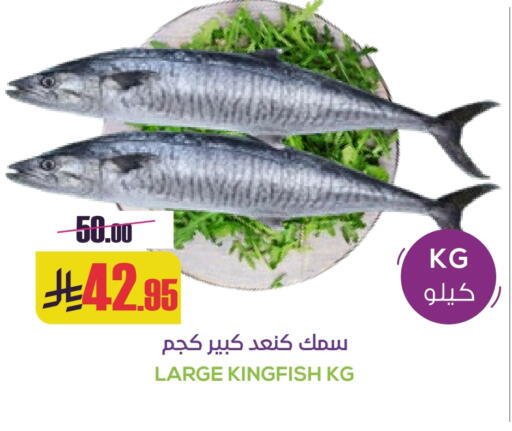 available at سبت in مملكة العربية السعودية, السعودية, سعودية - بريدة