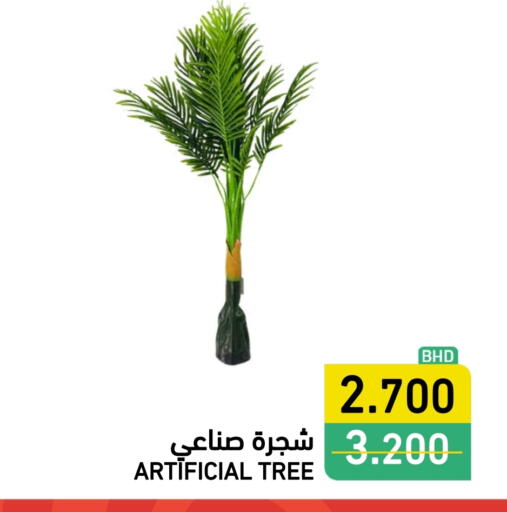 available at Ramez in Bahrain