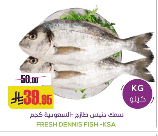 available at سبت in مملكة العربية السعودية, السعودية, سعودية - بريدة