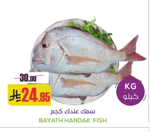 available at سبت in مملكة العربية السعودية, السعودية, سعودية - بريدة